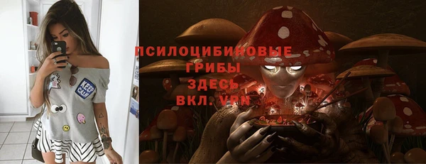прущая мука Бородино