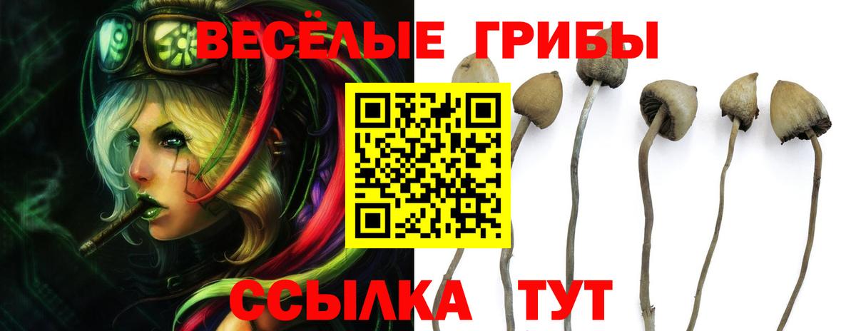 Бахчисарай  Галлюциногенные грибы Psilocybine cubensis  Вход с VPN 