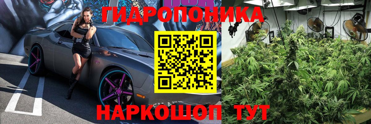 Бошки марихуана Bruce Banner  Вход с VPN  Конопля LSD WEED  Марихуана гибрид  Бахчисарай  Бошки Шишки SATIVA & INDICA 